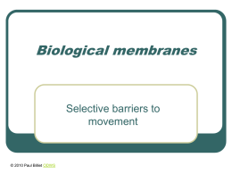 Powerpoint Presentation: Biological Membranes