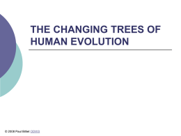 Powerpoint Presentation: The Changing Trees of Human Evolution