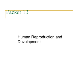 Packet13.ppt