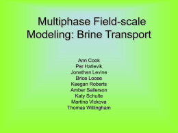 Multiphase eld-scale modeling