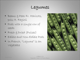 CHRM 1110 Day 3 Legumes.ppt