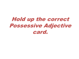 Possessive Adjectives