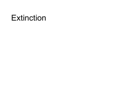 Extinction rates and humans