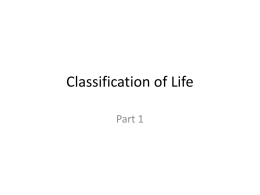 Classification/Taxonomy - part 1