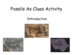 Fossils as clues pre lab notes