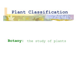 Plant Classification