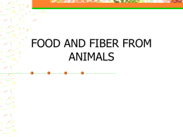 Food and Fiber From Animals
