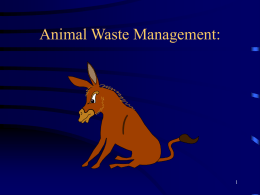 Animal Waste Management