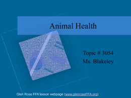Animal Health (Note Taking Guide)