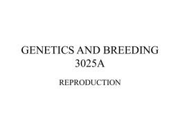 Genetics and Breeding: Reproduction