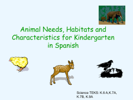 Animals interactive spanish use PPT Kinder.ppt
