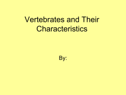 Vertebrates_Characteristics_student_activity_use_PPT_4th_grd.ppt