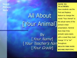All About my Animal use PPT 4th grd.ppt
