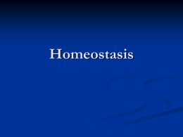 Homeostasis (Powerpoint Notes)
