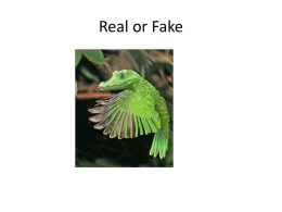 PPT