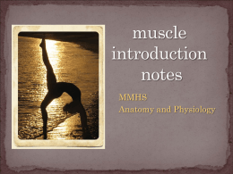 Intro Muscle Lecture (.ppt)