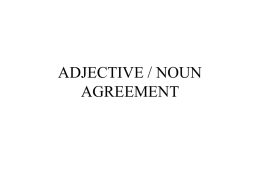 adjective and noun agreement