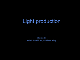 Light production