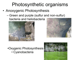 Notes 8 - Photosynthesis