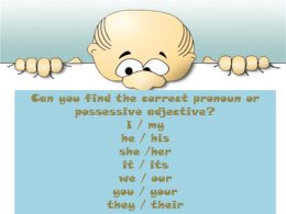 pronouns or possessive adjectives