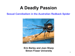 deadly passion