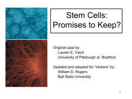 stem cells clicker