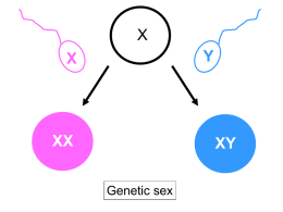 PPT on Differentiation