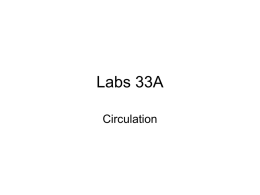 Lab 33A Circulation