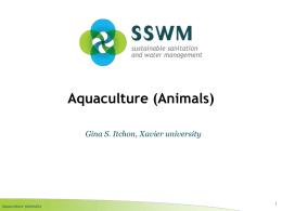 ITCHON 2010 Aquaculture (Animals)