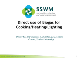 LO et al. 2010  Use of Biogas for Cooking