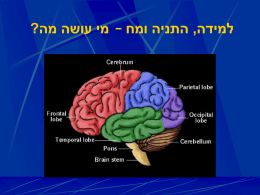 Learning and the brain - who does what?