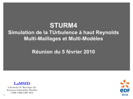 STURM4_05-02-2010_Presentation_Projet.ppt
