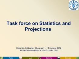 Task Force on Statistics and Projections