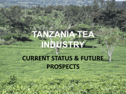 Tanzania tea industry: current status and future prospects