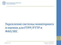 Укрепление системы мониторинга и оценки для FTPP/FTTP в ФАО/SEC