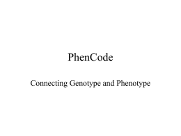 PhenCode.ppt