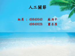 下載/瀏覽