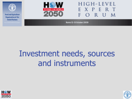 Investment needs, sources and instruments
