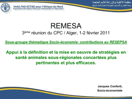 RESPSA presentation for REMESA JPC meeting - Algiers, February 2011