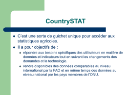 Présentation CountrySTAT Niger et Toolkit Afcas.ppt