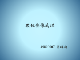 下載/瀏覽