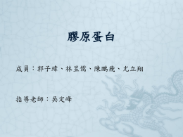 下載/瀏覽