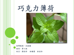 下載/瀏覽