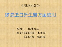 下載/瀏覽