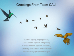 Team 17 - Cellular Automaton Language