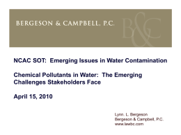 Chemical Pollutants in Water: The Emerging Challenges Stakeholders Face Presentation