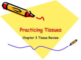 Practicing Tissue Identification
