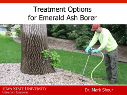 2015 Treatment Options for EAB