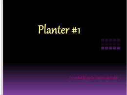 Planter Box 1 EMPACTS Project Plant Biology