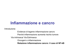 3-infiammazione-cancer.ppt